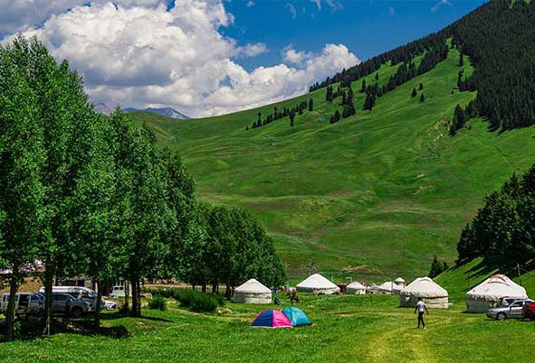 透明价格和优质服务